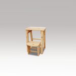 Step Stool